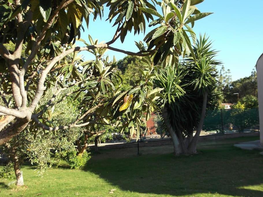 Villa Gabriella Villa San Pietro Exterior foto